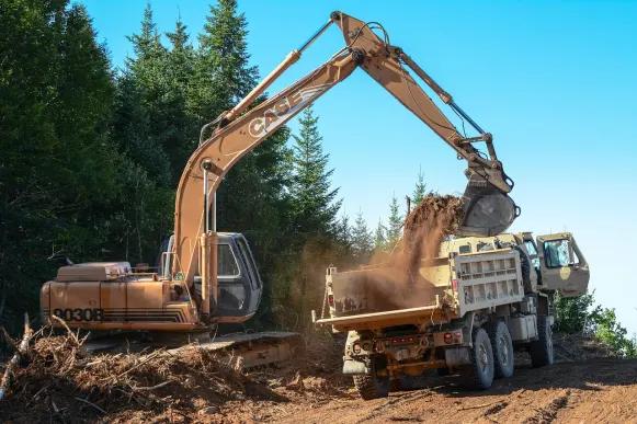 Lupin Cazino Cazinou Suport